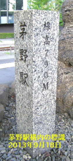 コケの生えた岩